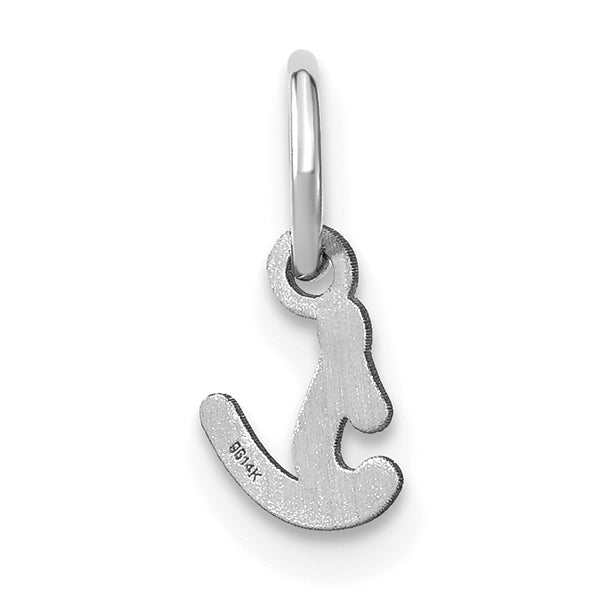 14k White Gold 14KW Lower case Letter S Initial Charm