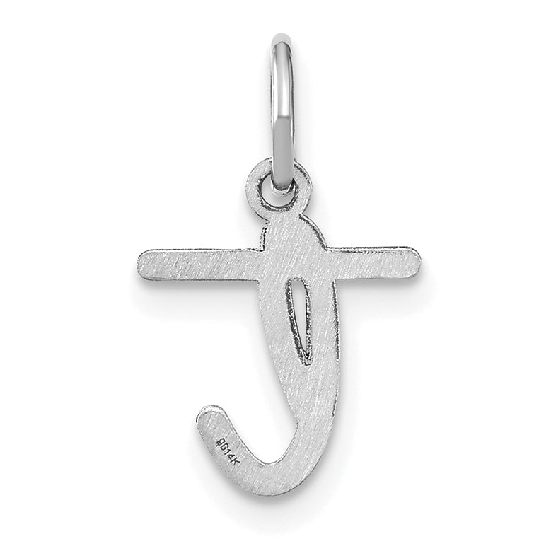 14k White Gold 14KW Lower case Letter T Initial Charm