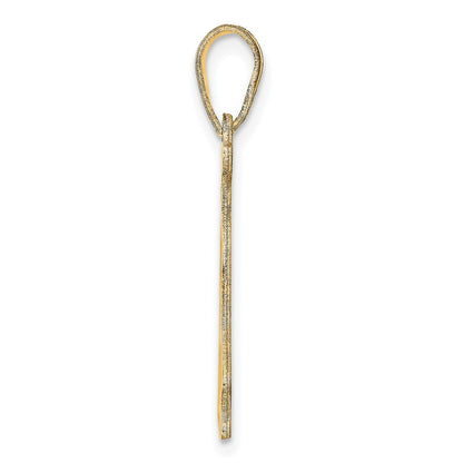 14K Yellow Gold 14Ky Delaware State Pendant