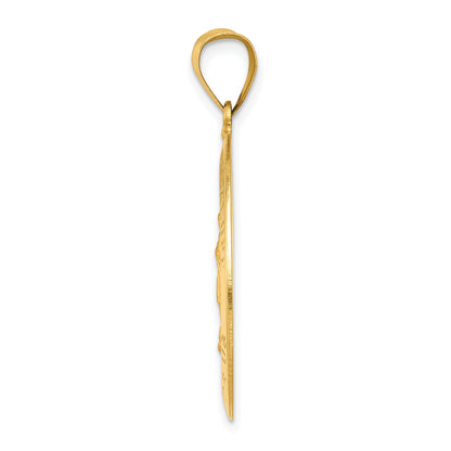 14k Yellow Gold 14k Polished and Satin Our Lady Guadalupe Medal Hollow Pendant