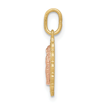 14k Two-tone 14k Two-tone Guadalupe Pendant