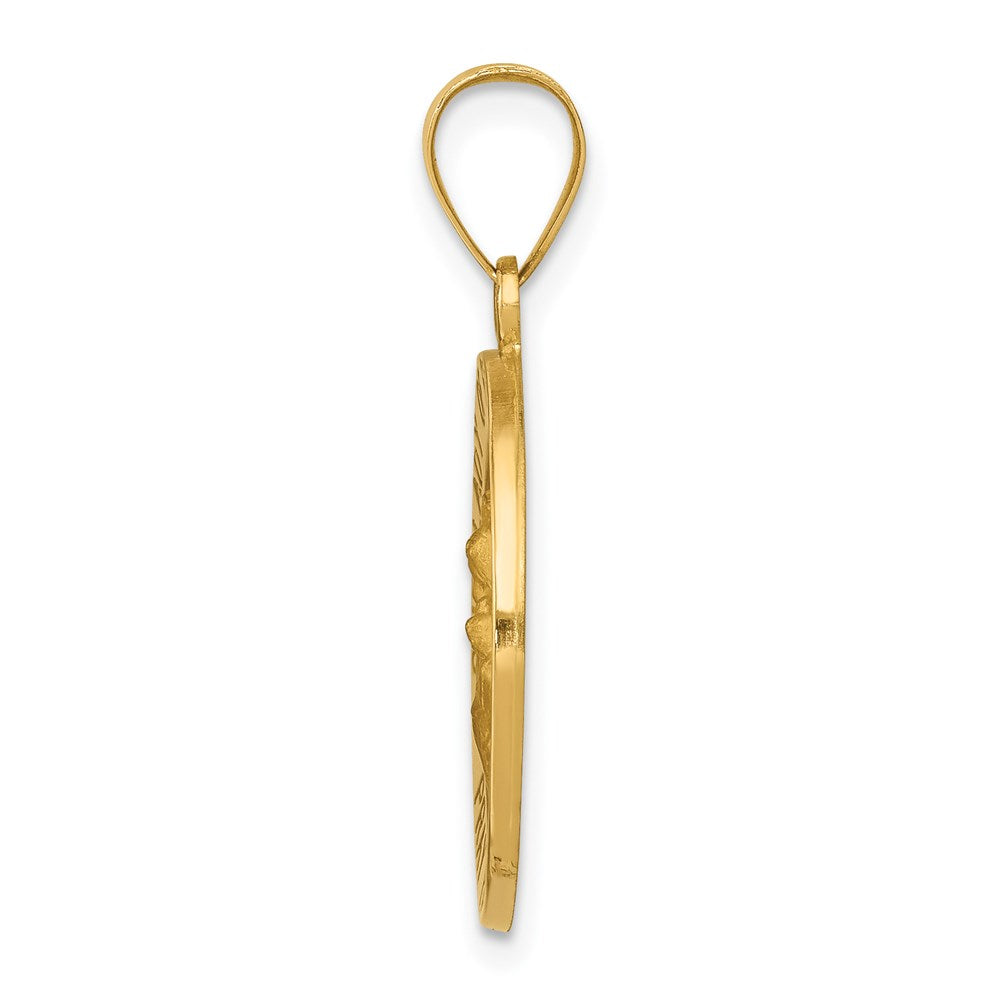 14k Yellow Gold 14k Polished/Satin Our Lady Perpetual Help Medal Hollow Pendant