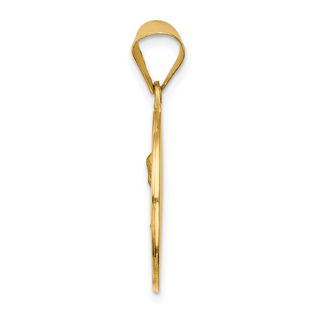 14k Yellow Gold 14k Polished and Satin Sacred Heart of Mary Medal Hollow Pendant