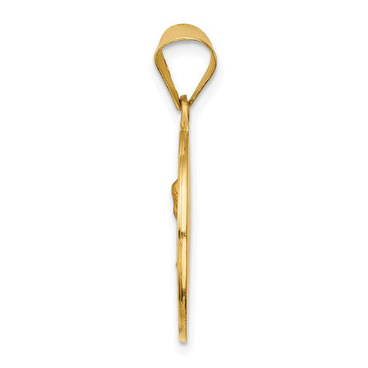 14k Yellow Gold 14k Polished and Satin Sacred Heart of Mary Medal Hollow Pendant