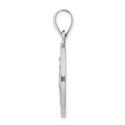 14k White Gold 14k White Gold Polished /Satin Miraculous Medal Hollow Pendant