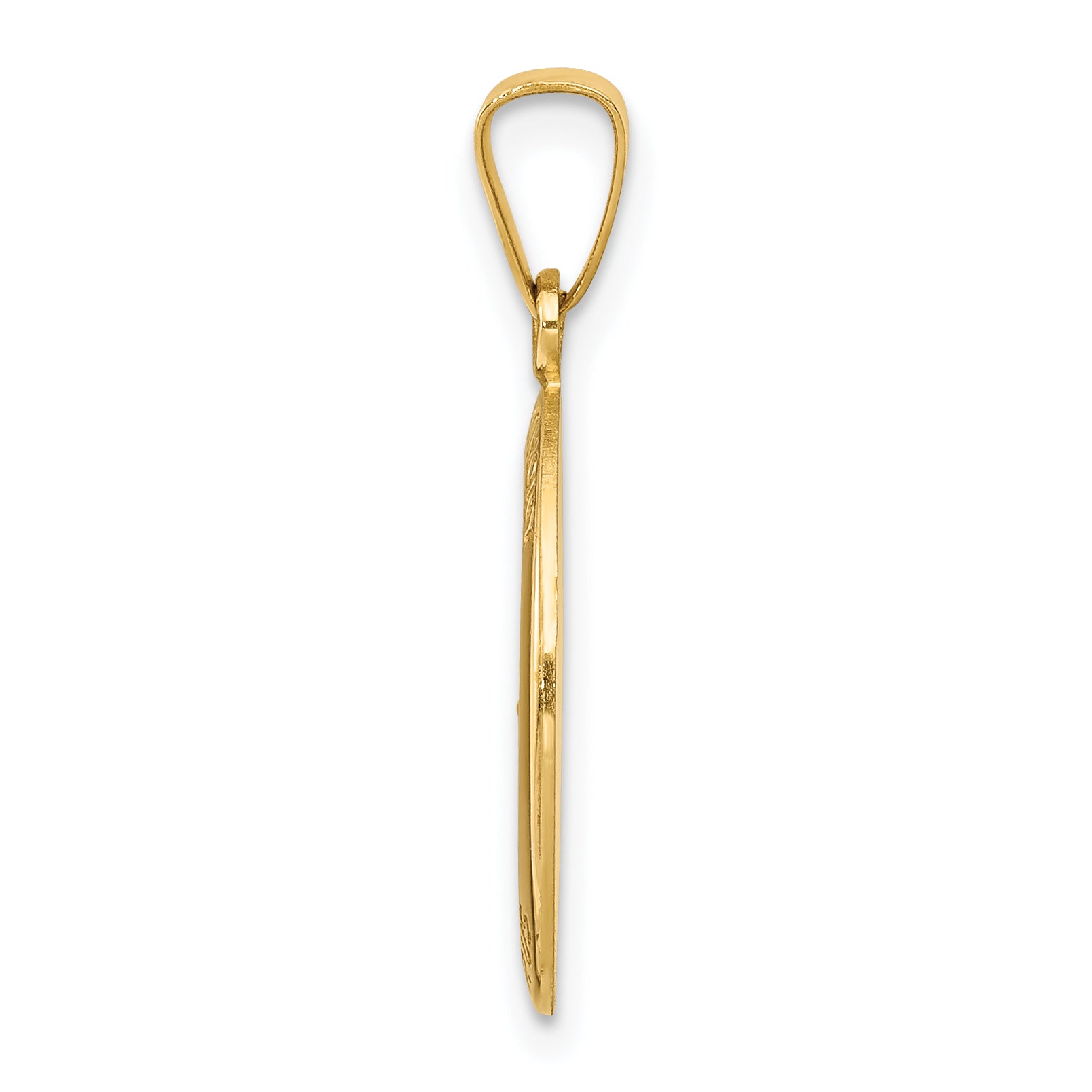 14k Yellow Gold 14k Polished and Satin St. Anthony Medal Hollow Pendant