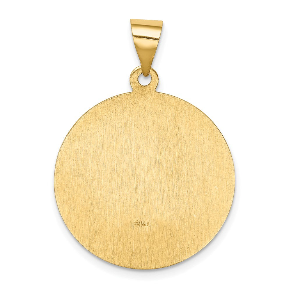 14k Yellow Gold 14k Polished and Satin St Francis Medal Hollow Pendant