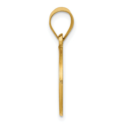 14k Yellow Gold 14k Polished and Satin St John Baptist Medal Hollow Pendant