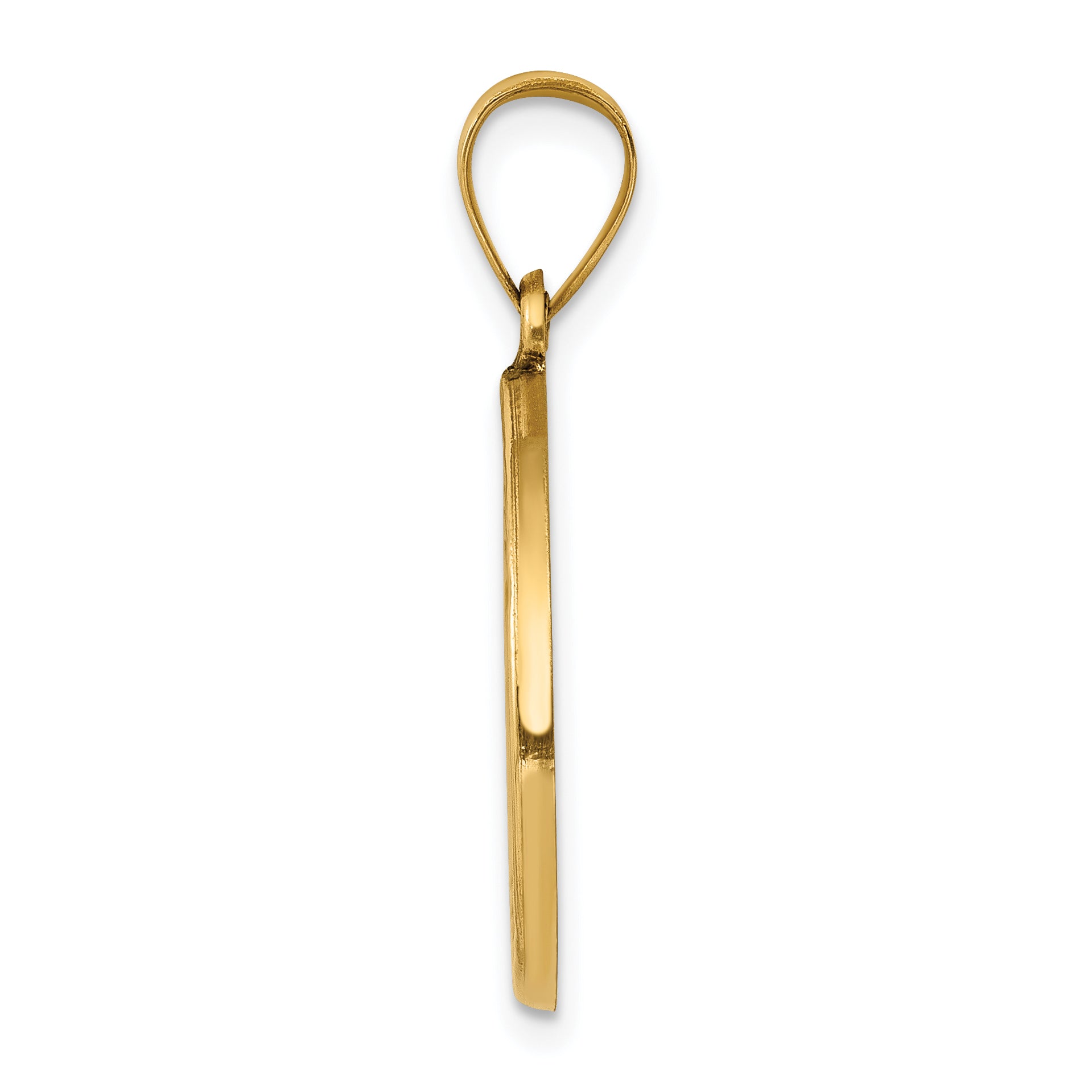 14k Yellow Gold 14k Polished and Satin St John Baptist Medal Hollow Pendant