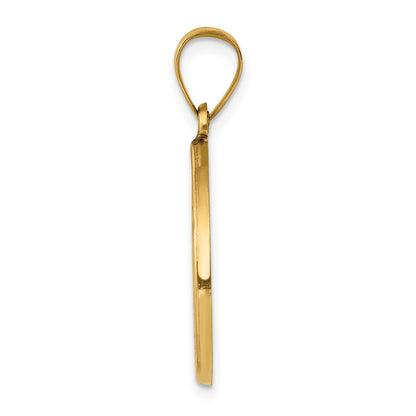 14k Yellow Gold 14k Polished and Satin St John Baptist Medal Hollow Pendant