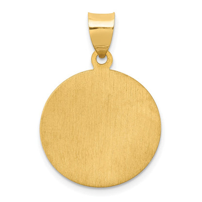 14k Yellow Gold 14k Polished and Satin St Luke Medal Hollow Pendant