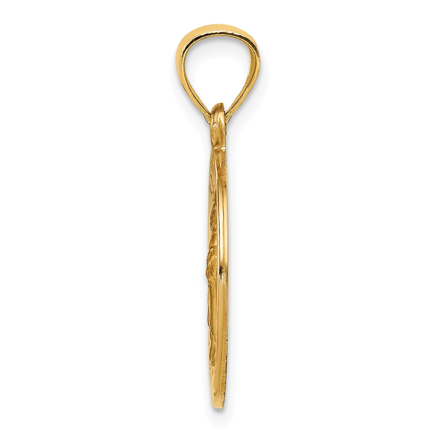 14k Yellow Gold 14k Polished and Satin St Raphael Medal Hollow Pendant