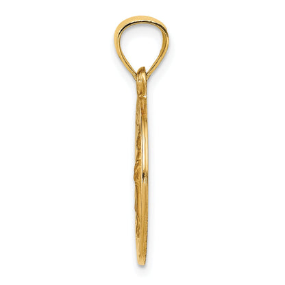 14k Yellow Gold 14k Polished and Satin St Raphael Medal Hollow Pendant