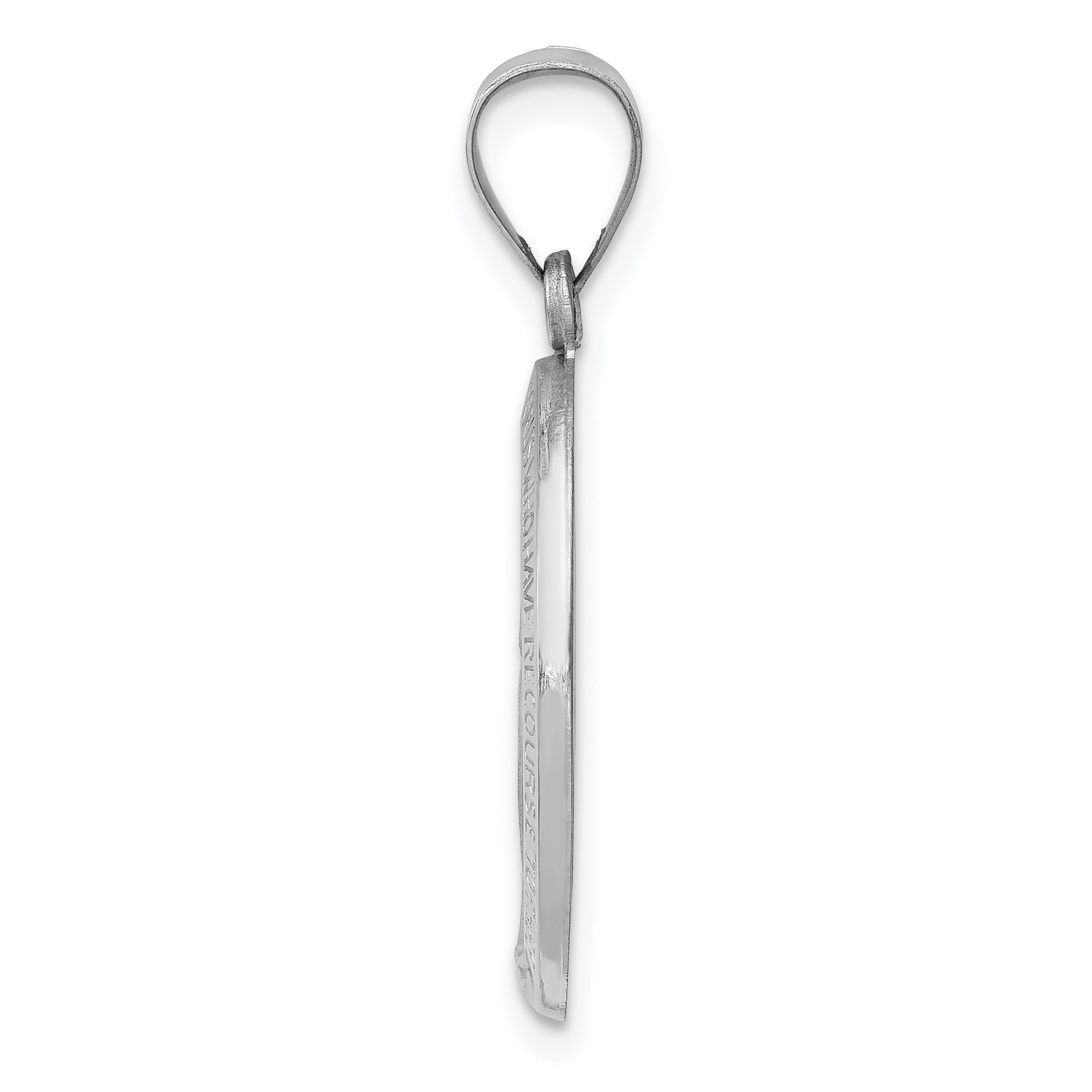 14k White Gold 14k White Gold Polished / Satin Miraculous Medal Hollow Pendant