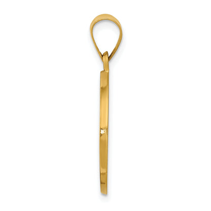 14k Yellow Gold 14K Polished/Satin St. Daniel Hollow Medal Pendant