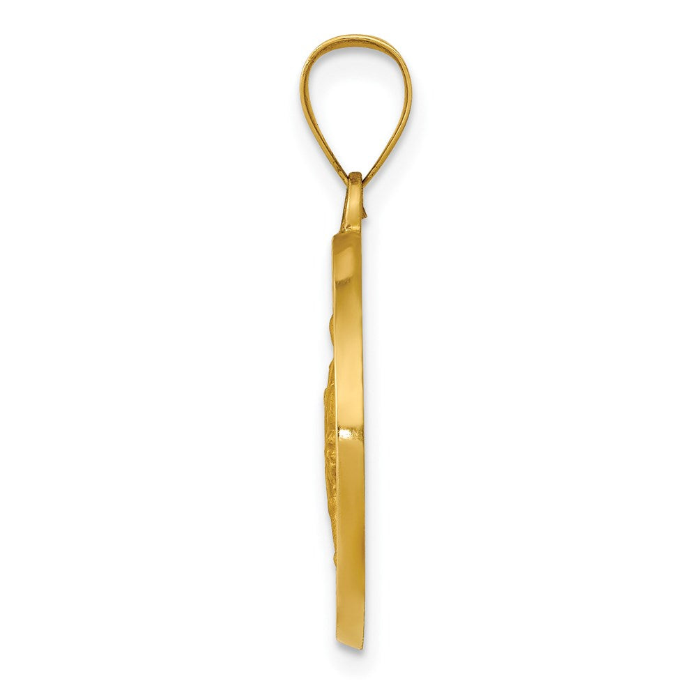 14k Yellow Gold 14K Polished / Satin St. Rocco Hollow Medal Pendant