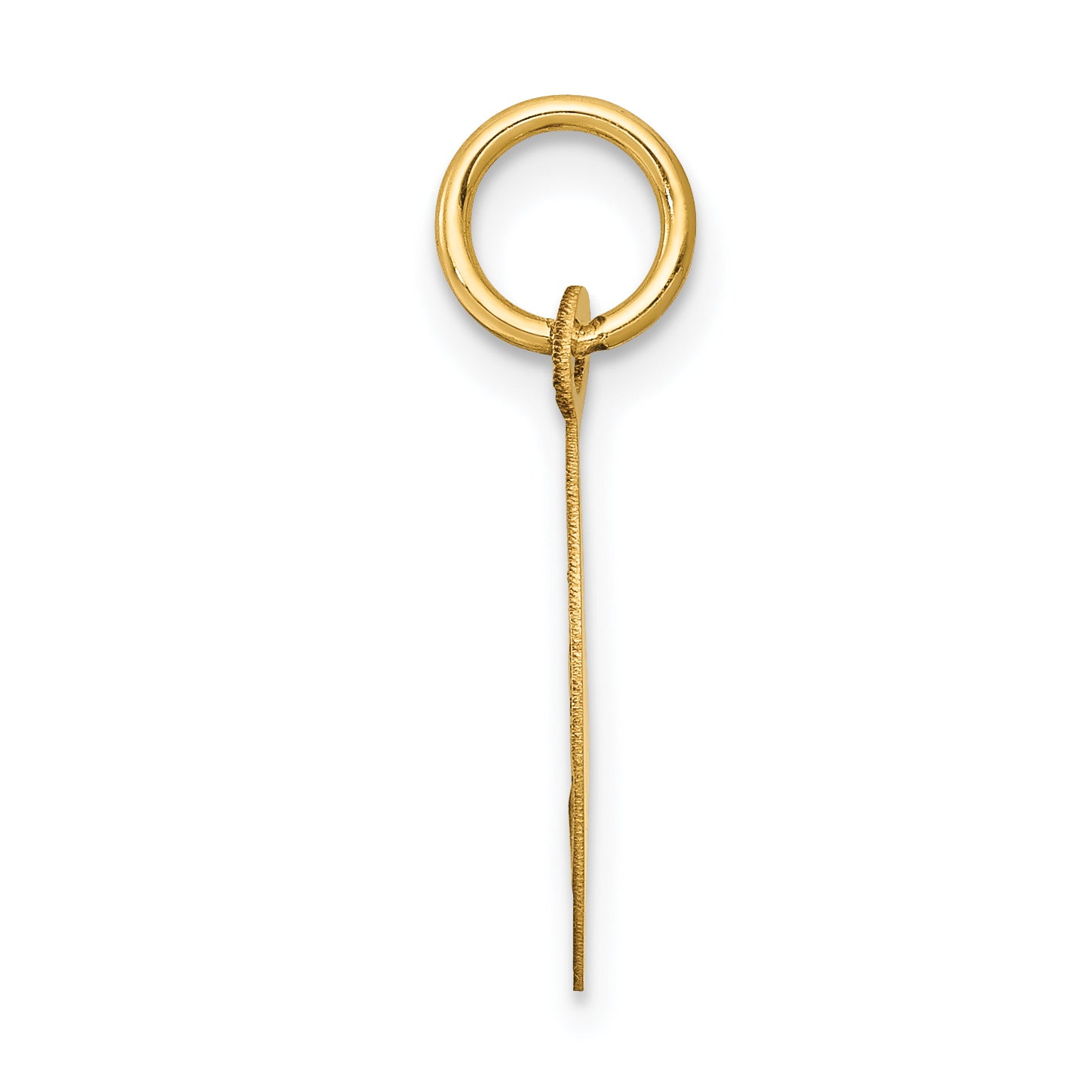 14k Yellow Gold 14k Holy Communion Disc Charm