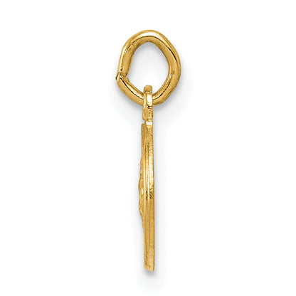 14k Yellow Gold 14k Saint Christopher Medal Charm