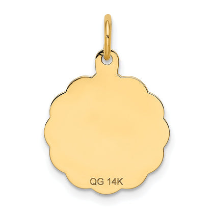 14k Yellow Gold 14k Solid Star of David Disc Charm
