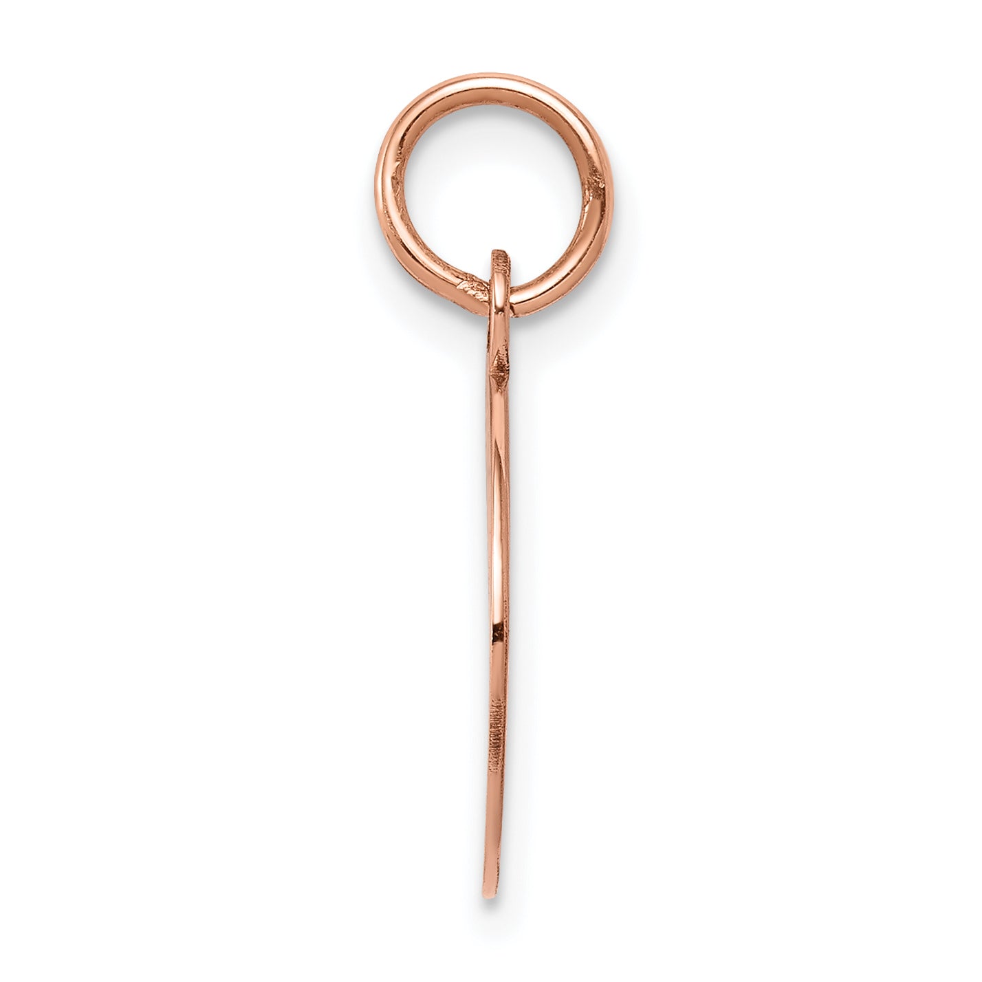 14k Rose Gold 14k Rose Gold Plain .011 Gauge Circular Engraveable Disc Charm