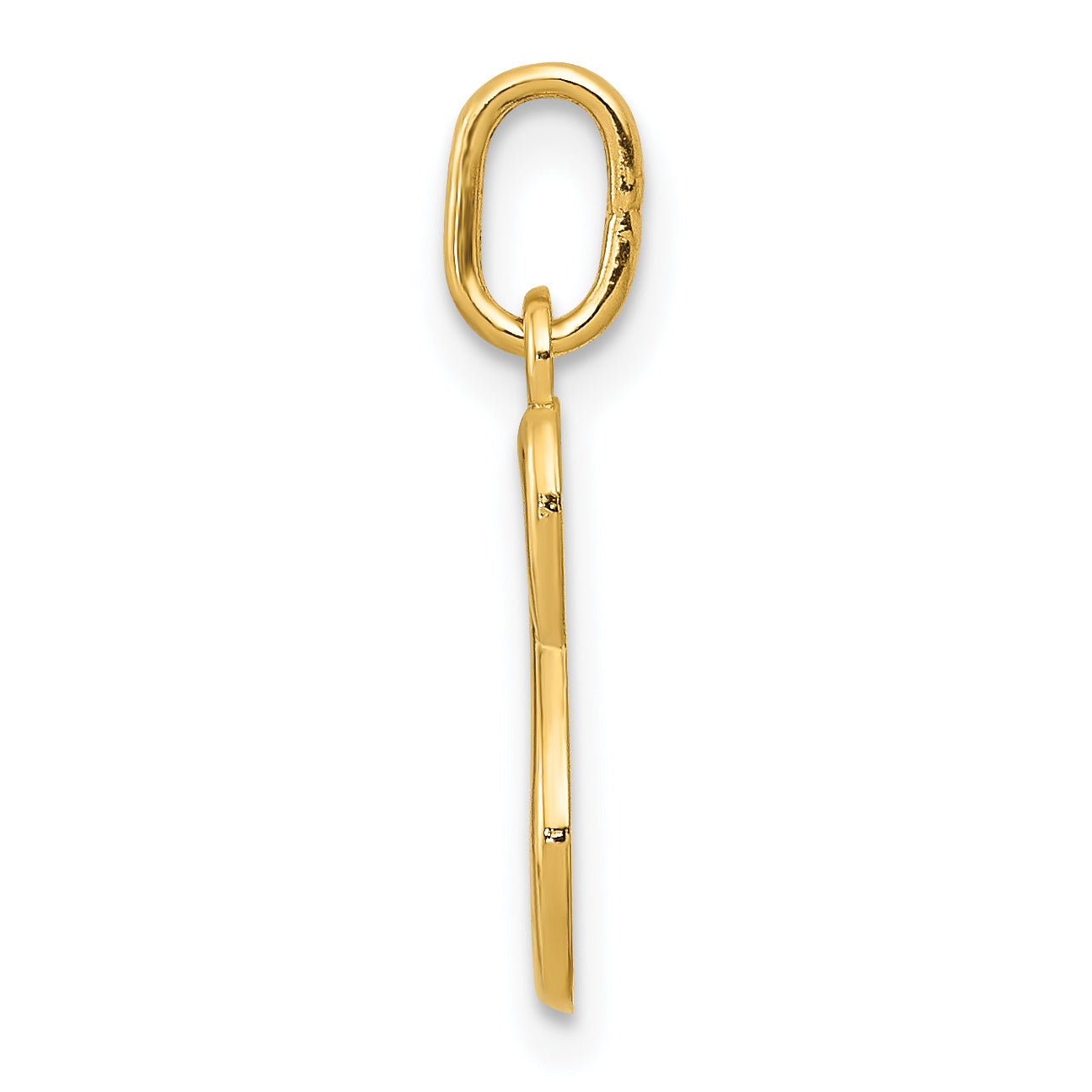 14k Yellow Gold 14k Yellow Gold Letter S Initial Charm