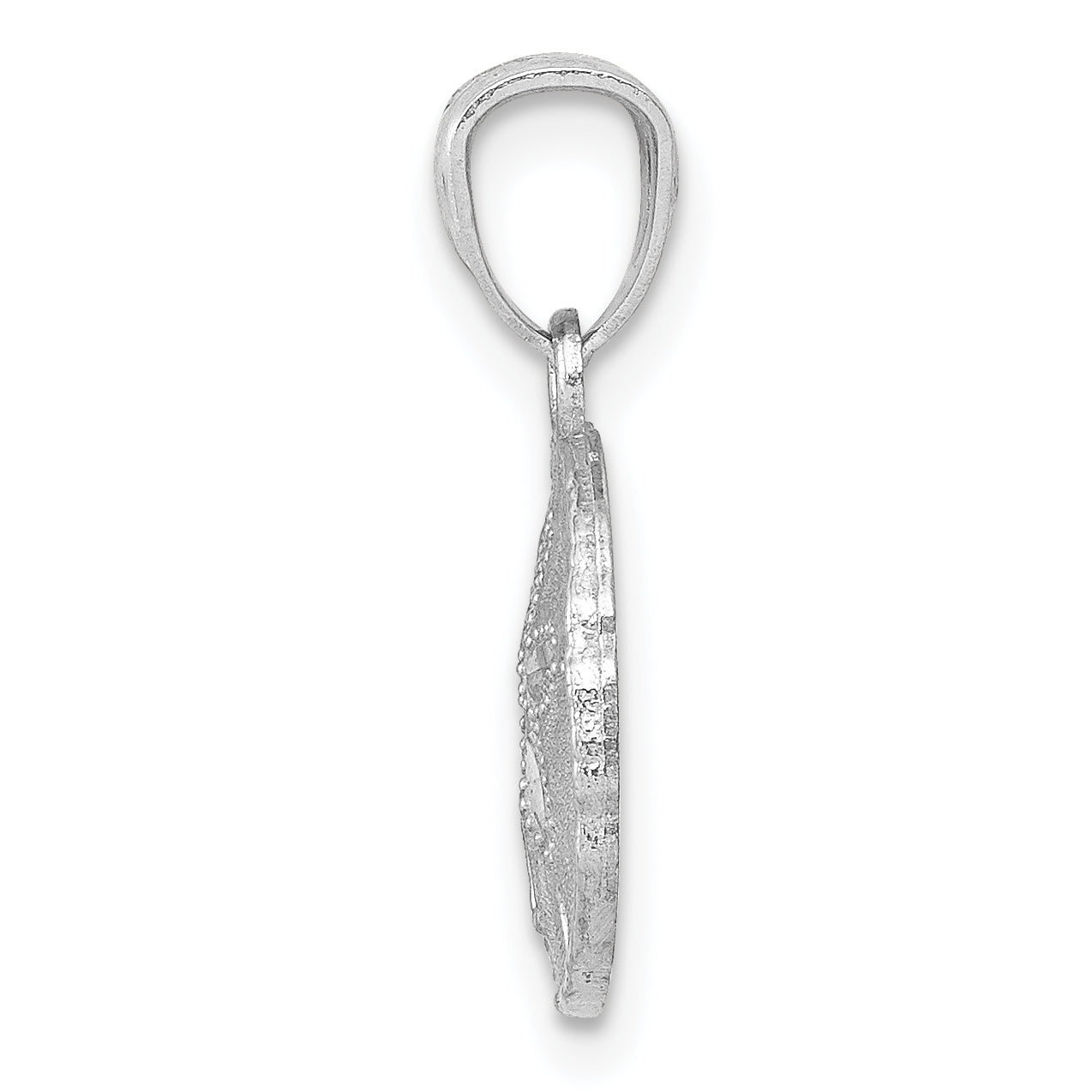 14k White Gold 14K White Gold Polished and Textured Sand Dollar Pendant