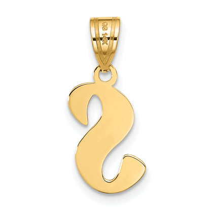 14k Yellow Gold 14k Polished Script Letter S Initial Pendant
