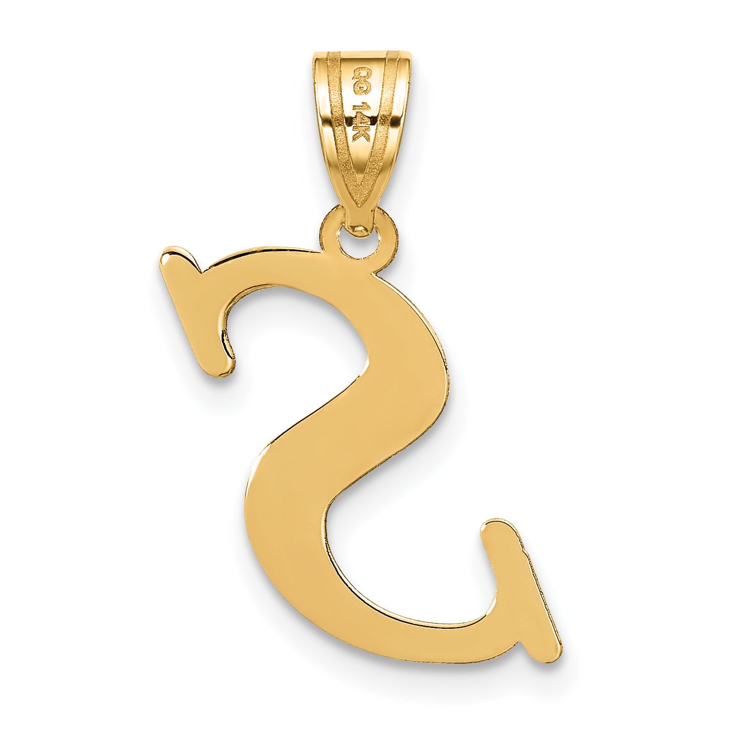 14k Yellow Gold 14k Polished Letter S Initial Pendant