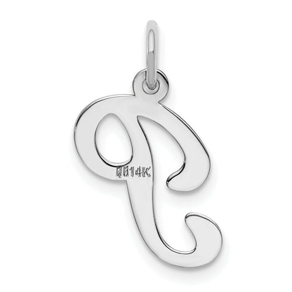 14k White Gold 14KW White Gold Script Letter P Initial Charm