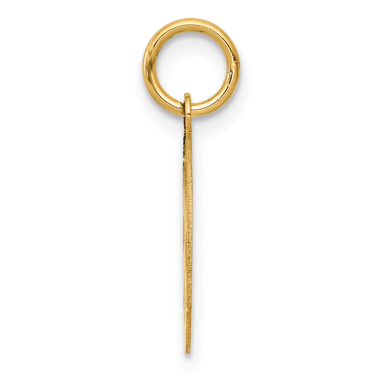 14k Yellow Gold 14k Small PARAMEDIC Medical Charm