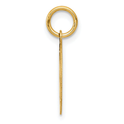 14k Yellow Gold 14k Small PARAMEDIC Medical Charm