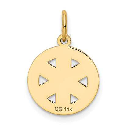 14k Yellow Gold 14k Small PARAMEDIC Medical Charm