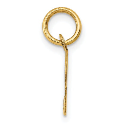 14k Yellow Gold 14K Small Fancy Script Letter P Initial Charm