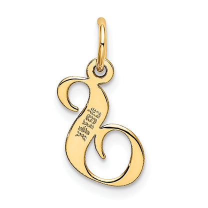 14k Yellow Gold 14K Small Fancy Script Letter S Initial Charm