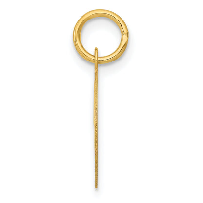 14k Yellow Gold 14K Medium Fancy Script Letter D Initial Charm