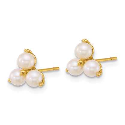14K Yellow Gold Polished Freshwater Cultured Pearls Post Earrings