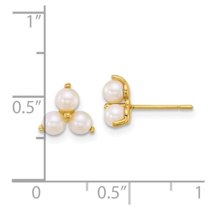 14K Yellow Gold Polished Freshwater Cultured Pearls Post Earrings