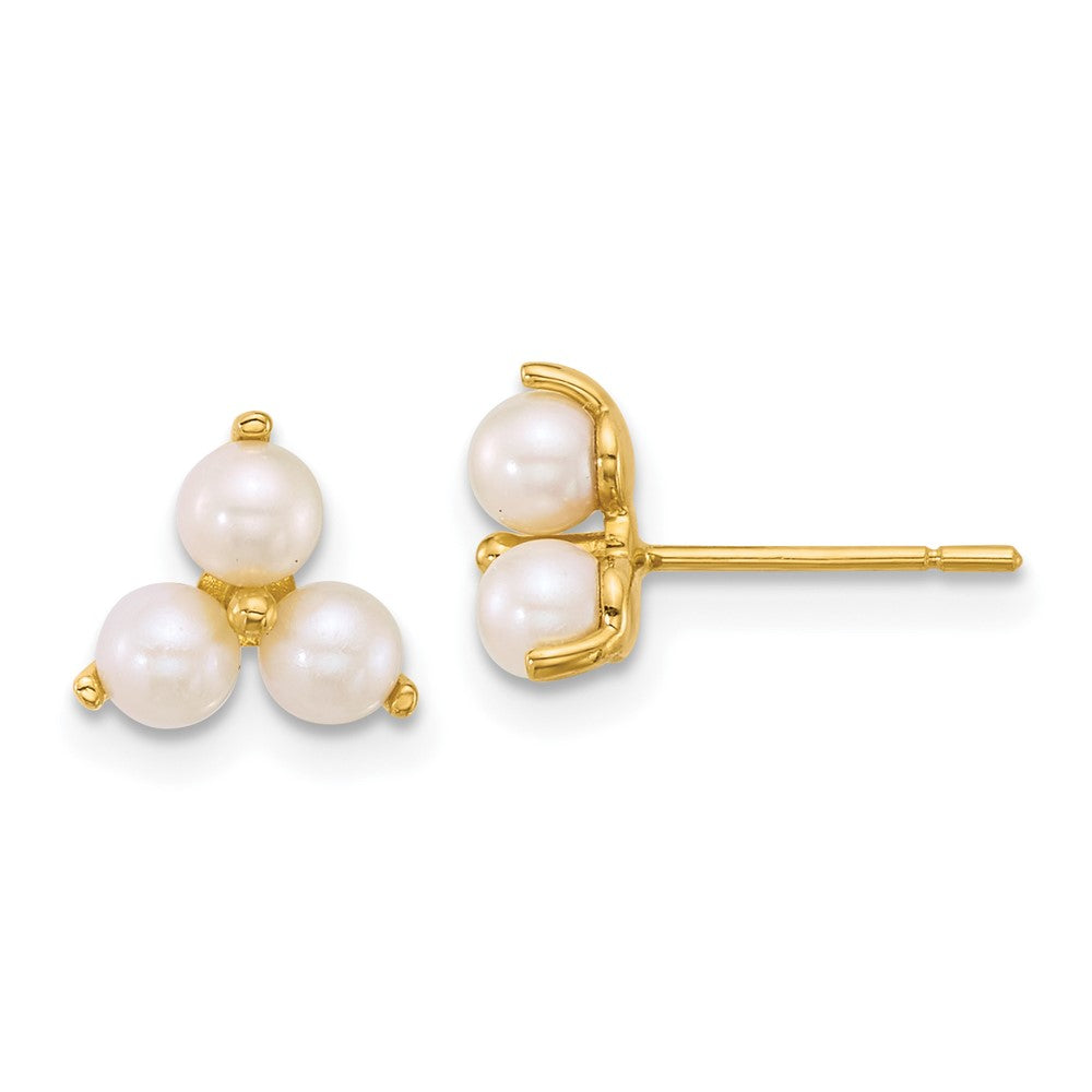 14K Yellow Gold Polished Freshwater Cultured Pearls Post Earrings