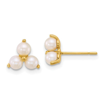 14K Yellow Gold Polished Freshwater Cultured Pearls Post Earrings