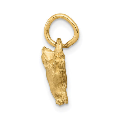 14k Yellow Gold Pig Charm