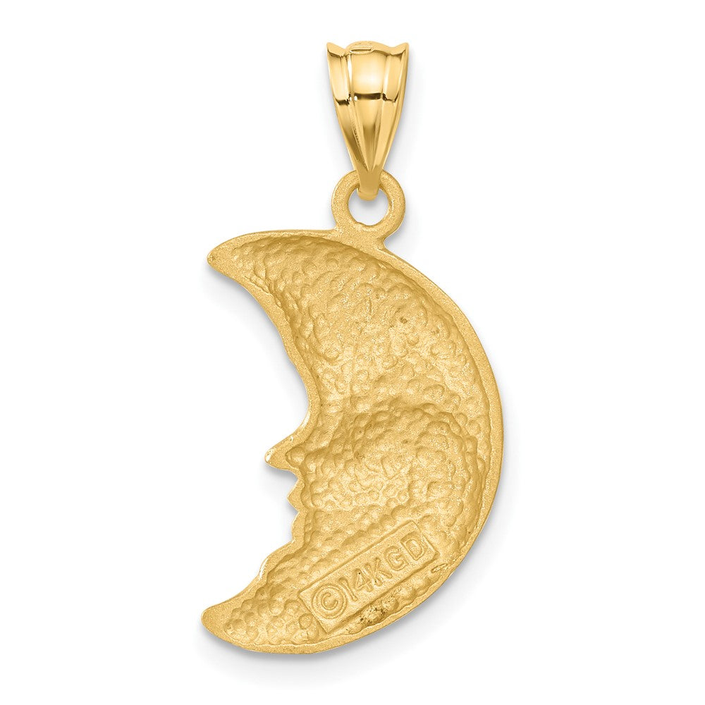 14k Yellow Gold Satin Diamond-cut Moon Charm