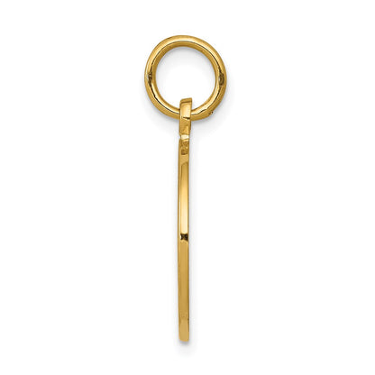 14k Yellow Gold Satin and Polished Communion Charm