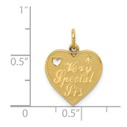 14k Yellow Gold VERY SPECIAL SIS Charm
