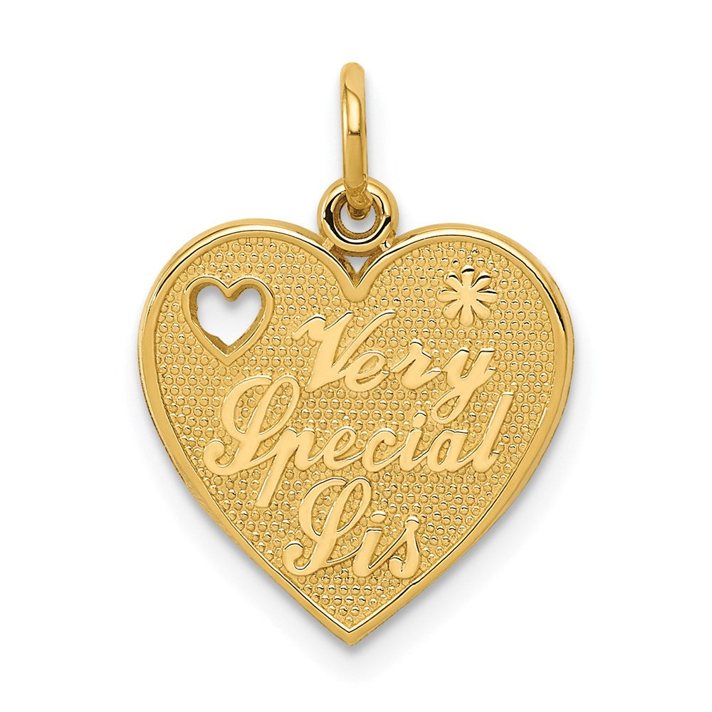 14k Yellow Gold VERY SPECIAL SIS Charm