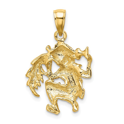 14k Yellow Gold Large Aquarius Zodiac Charm