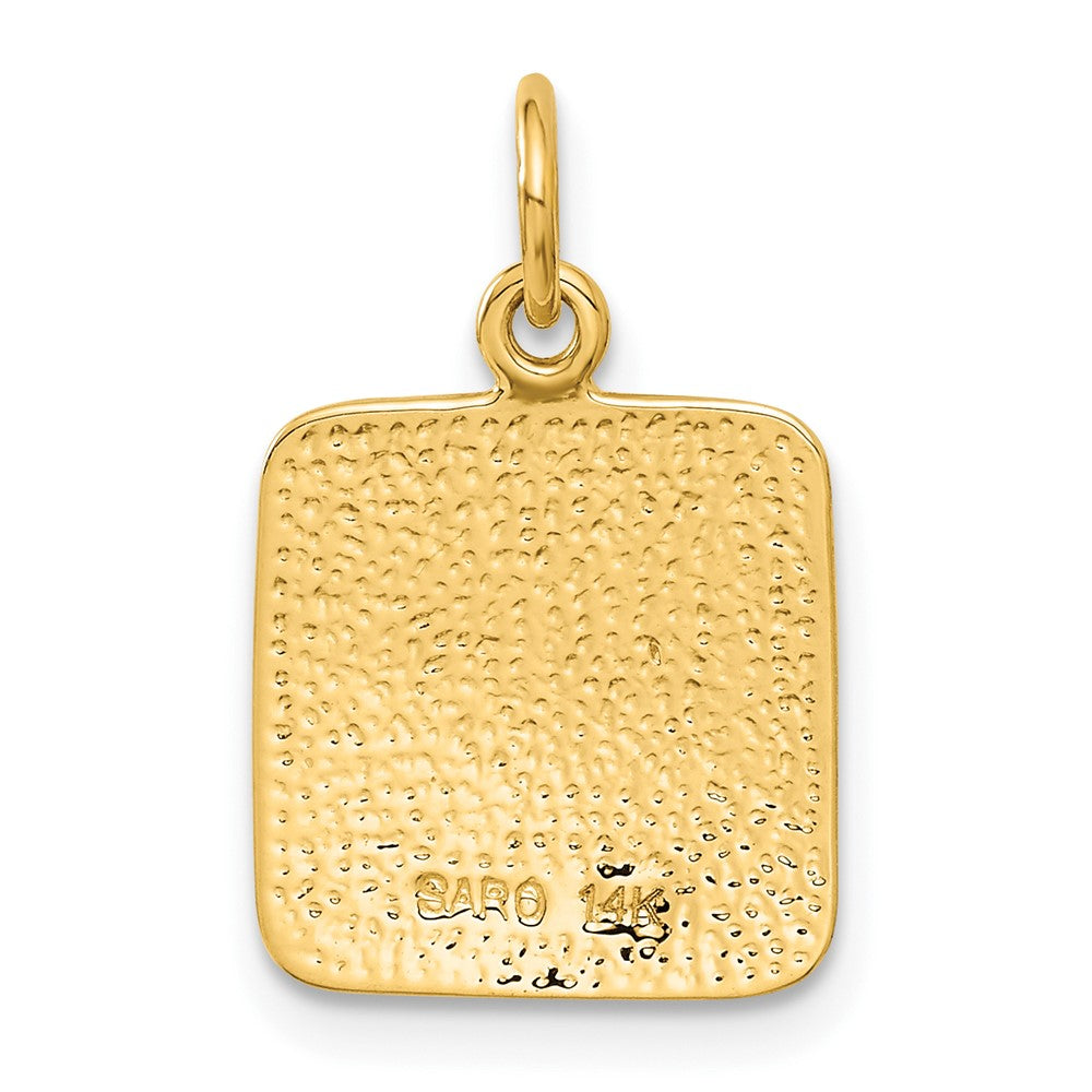 14k Yellow Gold Satin and Diamond-Cut Angel Charm