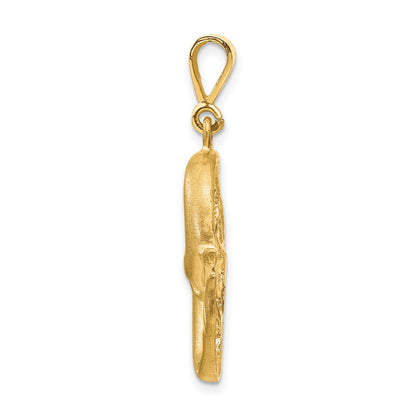 14k Yellow Gold Satin Diamond-cut Pisces Zodiac Charm