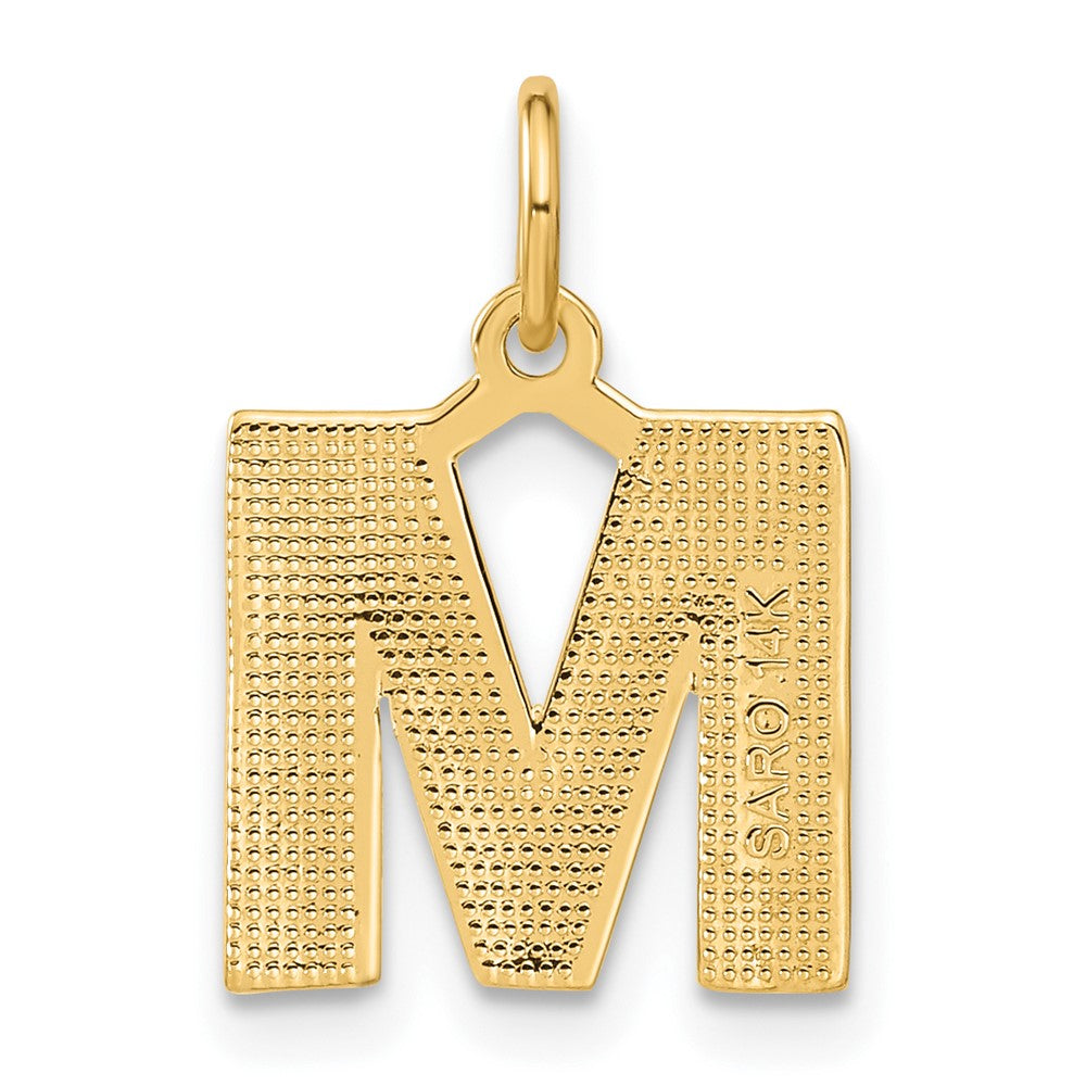 14k Yellow GoldY Satin Diamond-cut Letter M Initial Charm