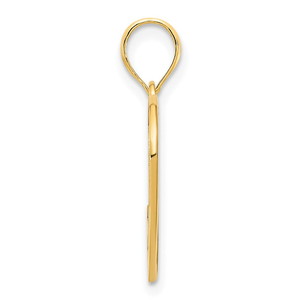 14k Yellow Goldy Infinity Heart Charm