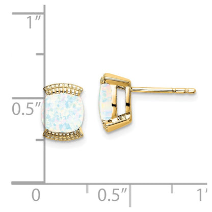 14k Yellow Gold Created Opal Post Earrings